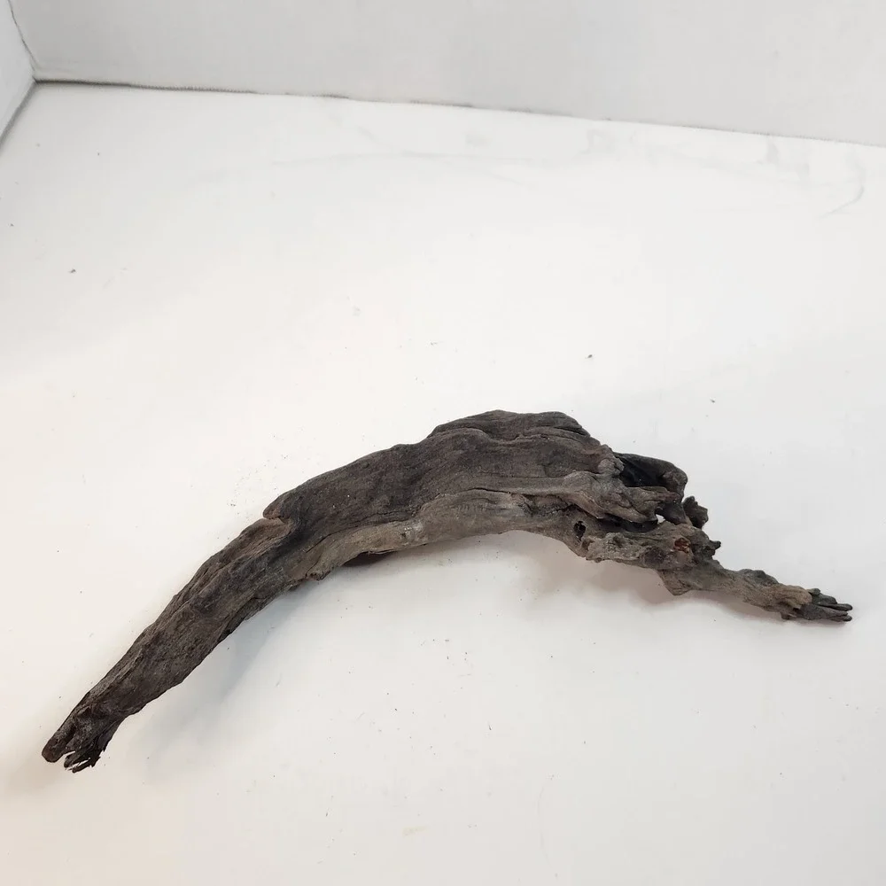 Natural driftwood for aquarium/terrarium/arts and crafts/Taxidermy 12